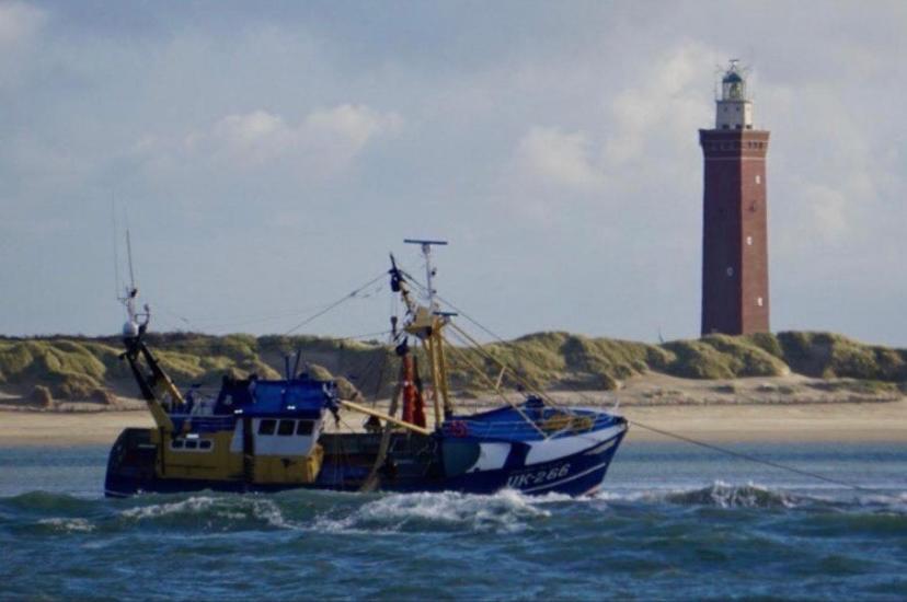 Caravan Stadstuin Goedereede Let Op De Badkamer Moet Met Andere Gasten Gedeeld Worden المظهر الخارجي الصورة